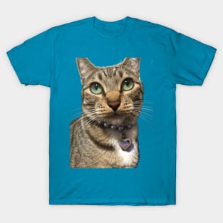 Evil kitty that is a meanie T-Shirt